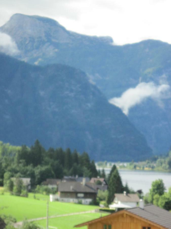 Ferienwohnung Haus Cerny Bad Goisern Luaran gambar